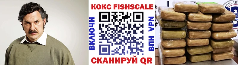 купить   Сухиничи  Cocaine Fish Scale 