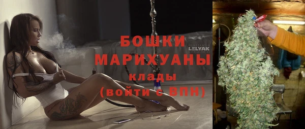 гашик Коряжма