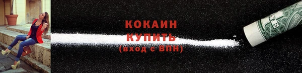 гашик Коряжма