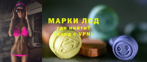 шишки Корсаков