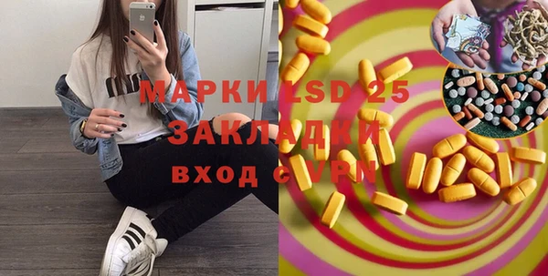 шишки Корсаков