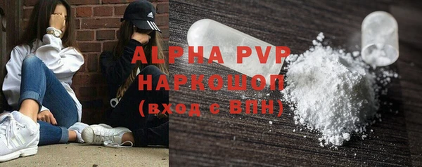 шишки Корсаков