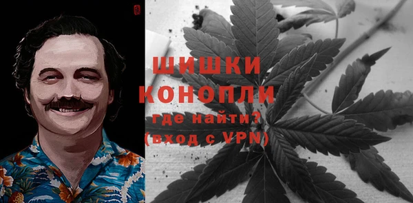 гашик Коряжма