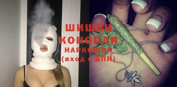 шишки Корсаков